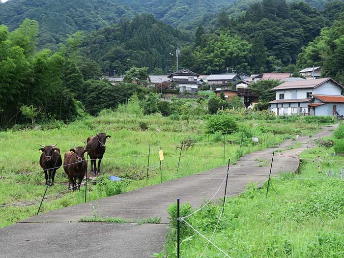 改正離島振興法の党内議論 写真